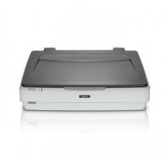 Epson Expression 12000XL 2400 x 4800 DPI Flatbed scanner Gray, White A3