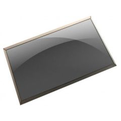 DELL C0T2R notebook spare part Display