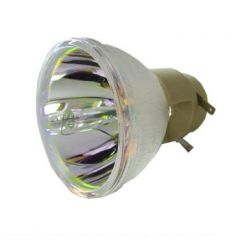 Ushio Bulb only EPSON ELPLP47 V13H01 projector lamp 210 W