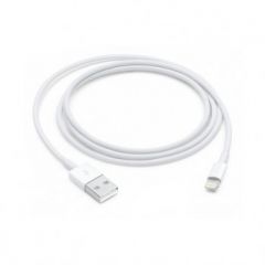 Lightning to USB Cable (1 m)