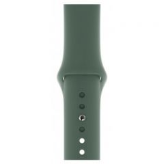 40mm Pine Green Sport Band - S/M & M/L