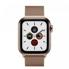 Apple Watch Series 5 GPS + Cellular, 40mm Gold Stainless Steel Case with Gold Milanese Loop